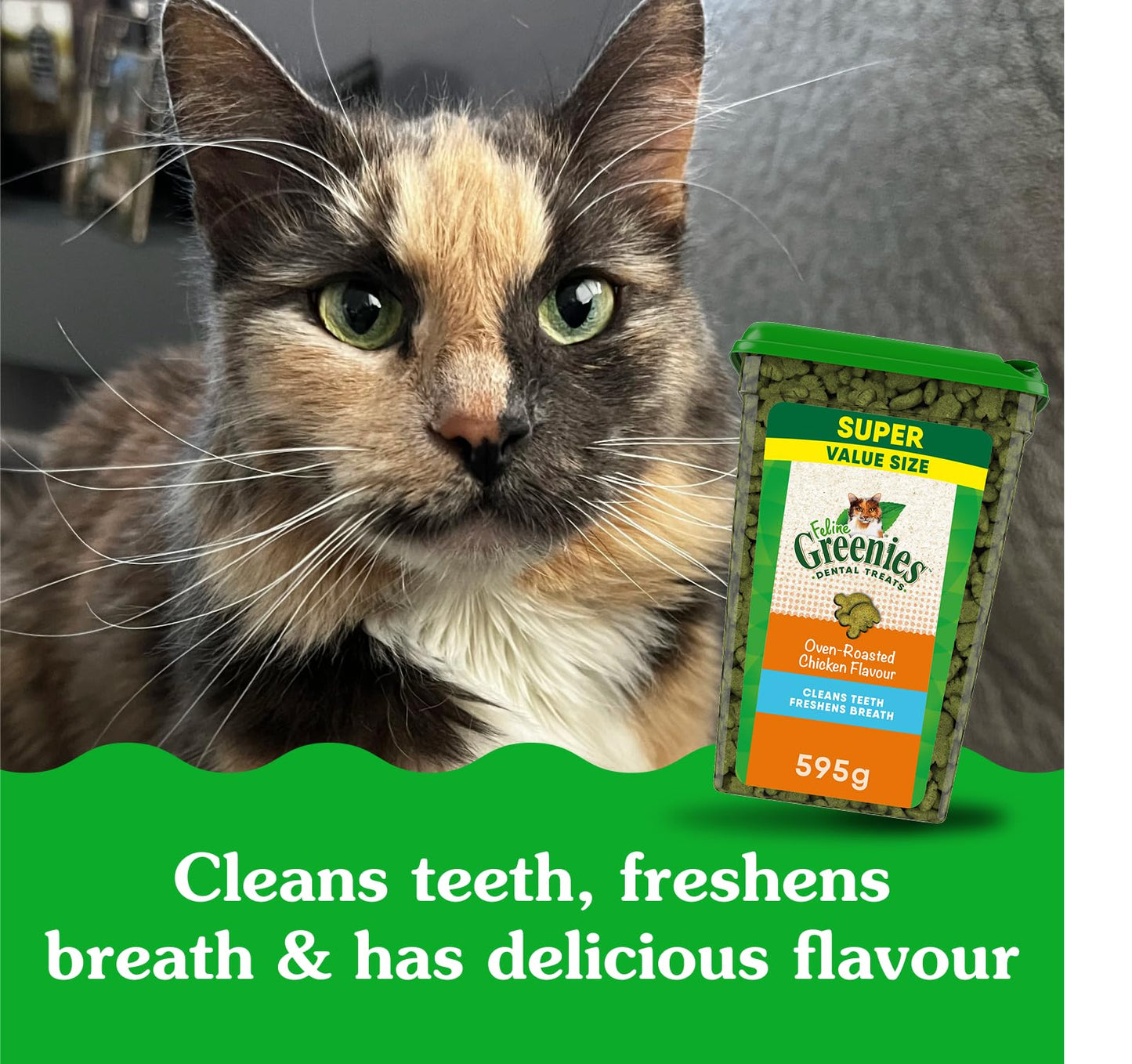 GREENIES Feline Cat Treats Natural Dental Care, Oven Roasted Chicken Flavour, 21oz. Tub