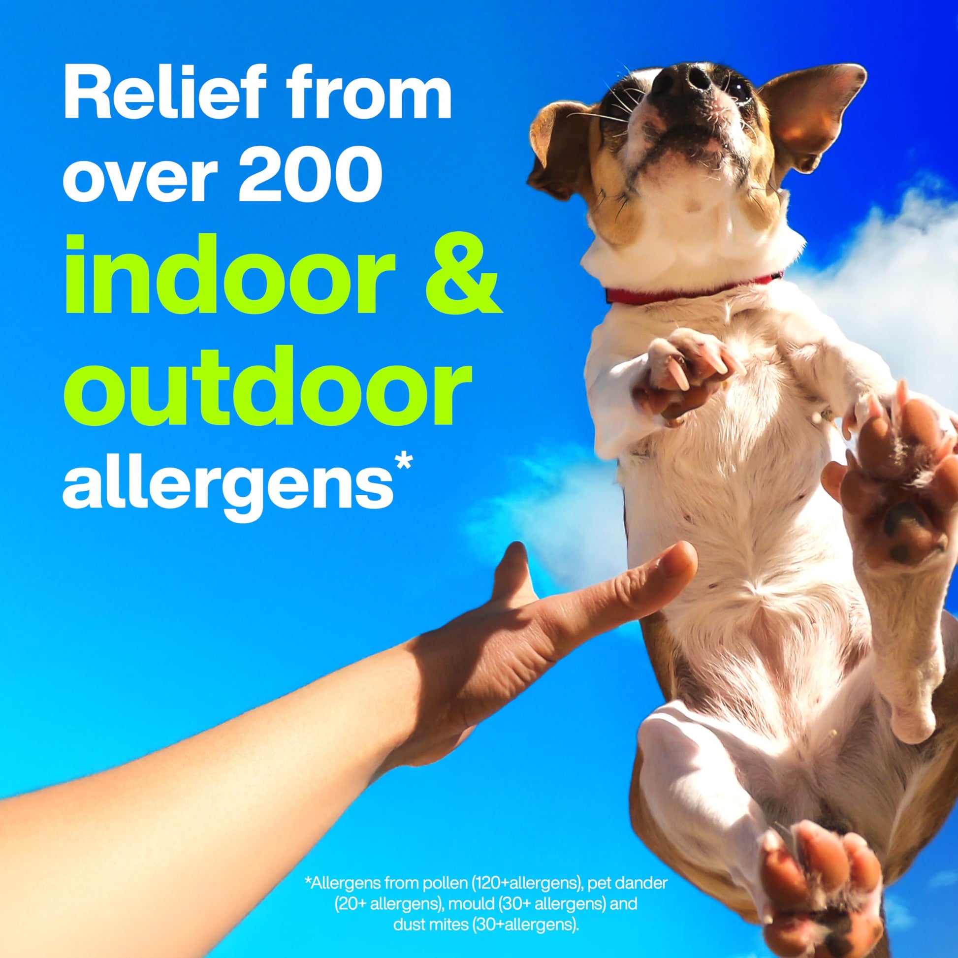 Claritin Rapid Dissolve Allergy Medicine, 24-Hour Non-Drowsy Relief 10 mg, 50 Tablets - Available at All In One Marketplace Canada