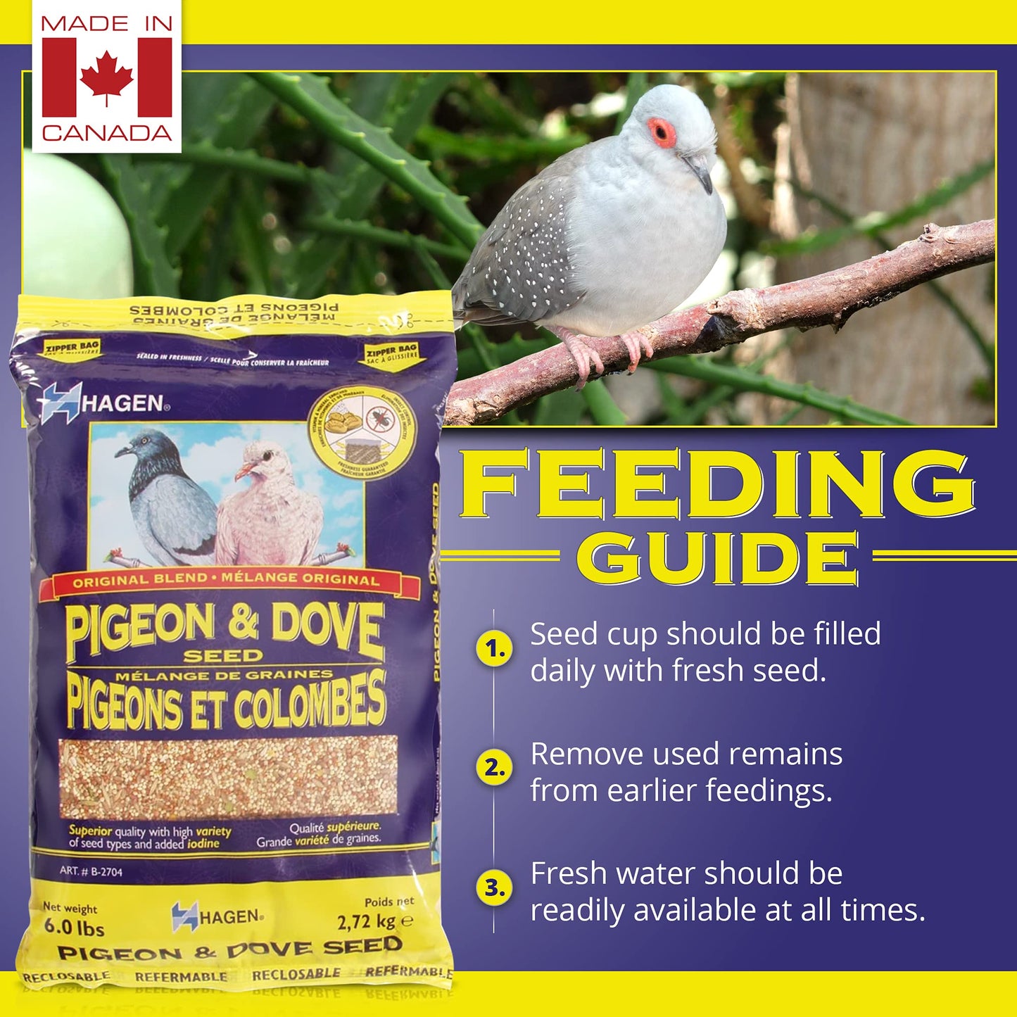 Hagen Pigeon and Dove Staple VME Seeds, 6-Pounds 🍁 All In One Marketplace Canada