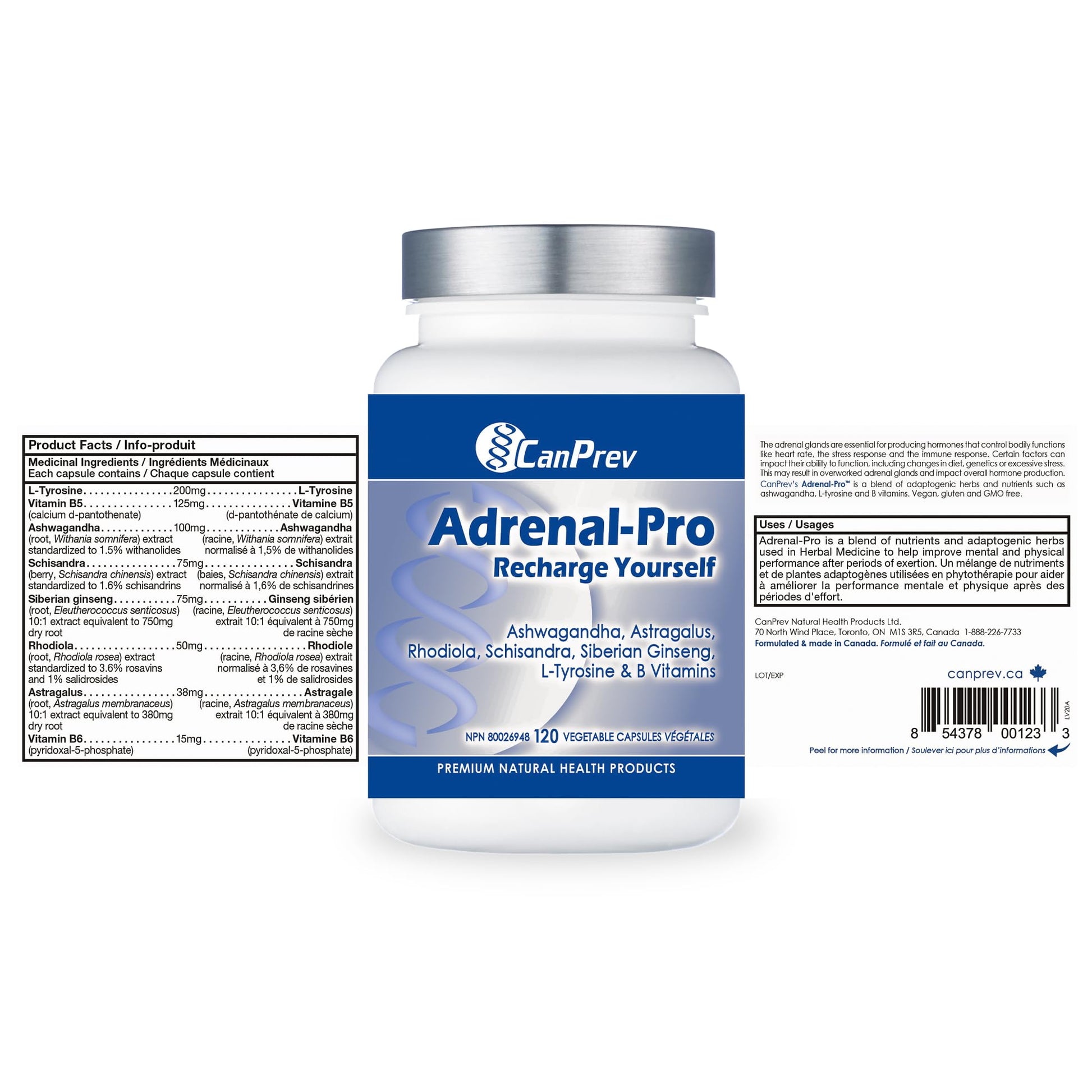 CanPrev Adrenal-Pro Recharge Yourself, 120 Vegan V-Caps with Siberian Ginseng, 30-Day Supply with Ashwagandha, Astragalus, L-Tyrosine, B5 & B6 - Supports Energy Levels, Physical and Mental Vitality - Available at All In One Marketplace Canada