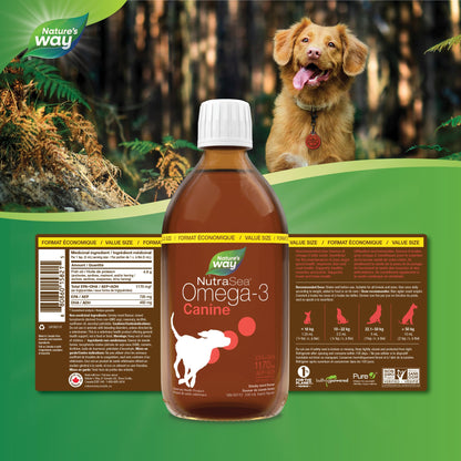 Nature’s Way NutraSea Omega-3 Canine Supplement for Dogs – Helps Support Dogs’ Skin, Coat, Muscles, Joints, Heart & Brain – 1170 mg of EPA + DHA – Smoky Meat Flavour, 500 mL