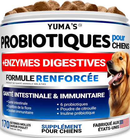 Probiotics for Dogs - 170 Chews - Helps Relieve Diarrhea, Gas & Allergies, Constipation - Dog Probiotics - Digestive & Immune Support - Prebiotics & Digestive Enzymes - Gut Health Chewable Supplement