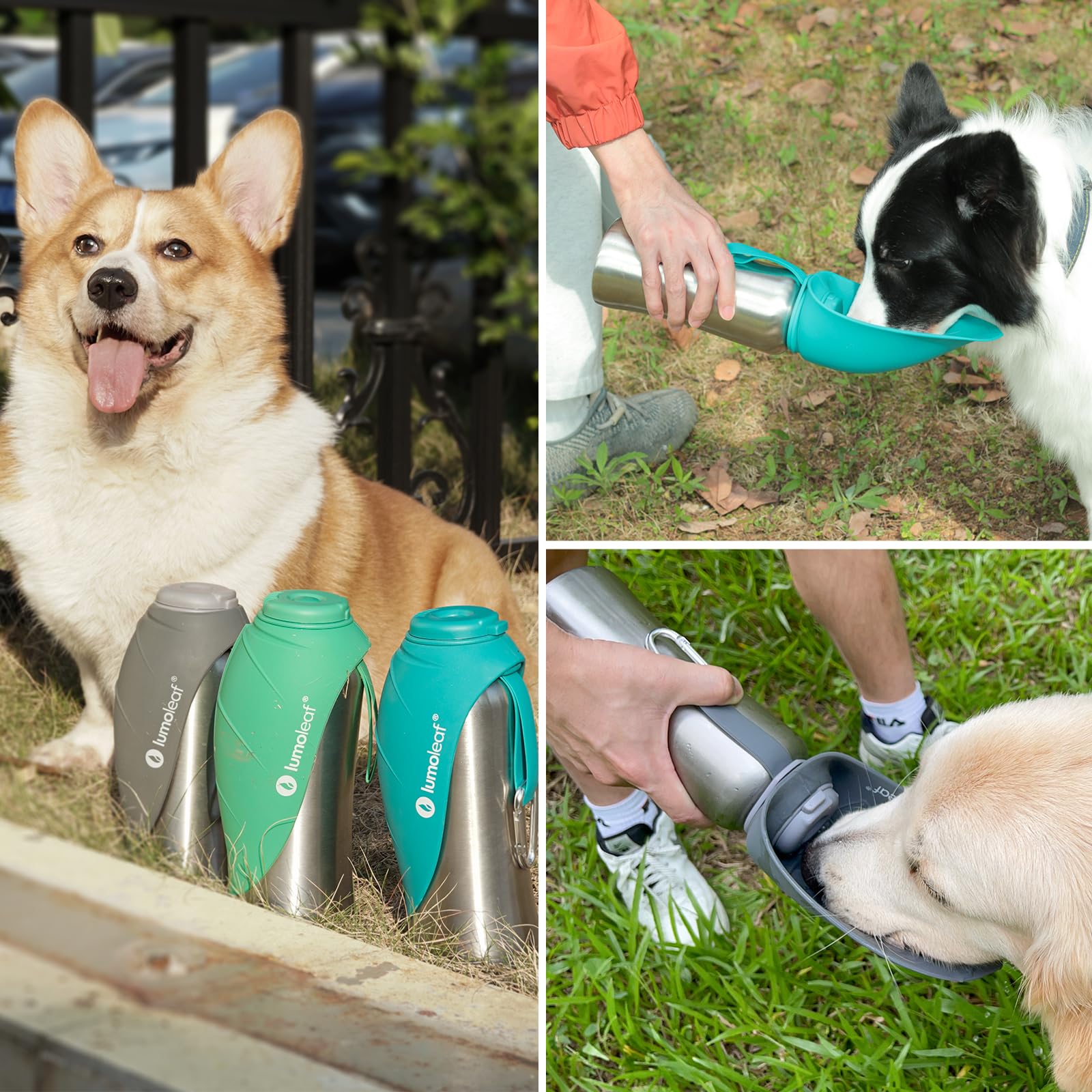LumoLeaf Portable Dog Water Bottle 800 ml, Stainless Steel Pet Travel Water Bottle Dispenser for Walking, Hiking and Outdoor, Portable Water Bowl for Large Dogs (Blue)