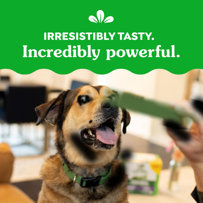 GREENIES Dog Treats Original Large Natural Dental Care, (34 Treats) 54oz. Pack