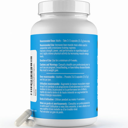 Creatine Capsules - 100% Creatine Monohydrate 1000 mg x 150 Pills (3-5 g Serving) - Made in Canada - Premium Strength and Muscle Growth Supplement by Nutritionn - Available at All In One Marketplace Canada