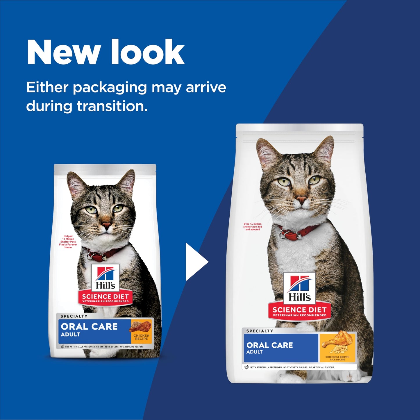 Hill's Science Diet Adult Oral Care Chicken Recipe Dry Cat Food 7.03 kg Bag