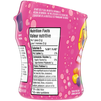 HUBBA BUBBA Minis, SKITTLES Flavoured, Sugar-Free Bubble Gum Resealable Bottle, 40 pieces, 6 Packs