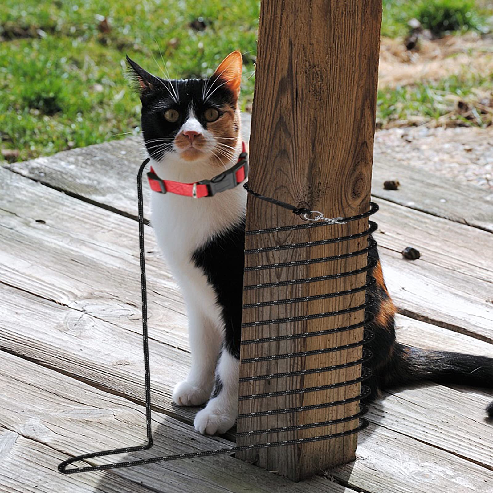 Extra Long Cat Leash for Yard, 9M/30FT Lightweight Outdoor Cat Leash Long Light Extension, Long Thin Lead for Rabbits, Kitten, Puppy and Small Animals - Available at All In One Marketplace Canada