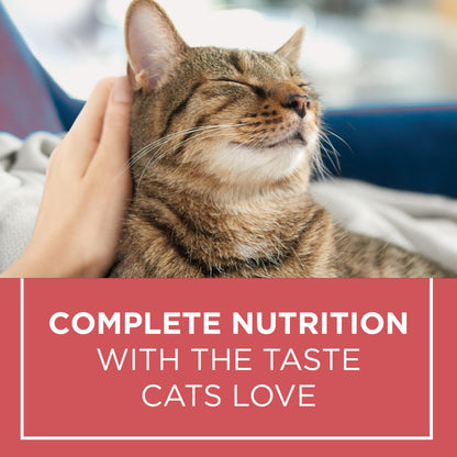 Cat Chow Complete Dry Cat Food, Salmon 6.4kg Purina Cat Chow