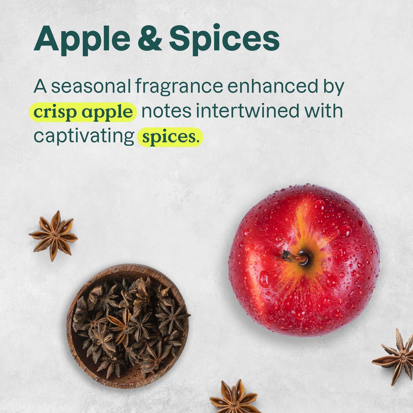 ATTITUDE Liquid Hand Soap Refill, EWG Verified, Made in Canada, Plant and Mineral-Based, Vegan Personal Care Products, Apple & Spices Scent, 2 L 🍁 All In One Marketplace Canada