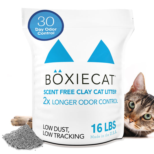 Boxie® Unscented 30 Day Odor Control Clumping Clay Cat & Kitty Litter 16 lb, 99.9% Dust-Free, Hard Flat Top® Clumps, No Fragrances No Fillers, Long-Lasting, Easy to Scoop
