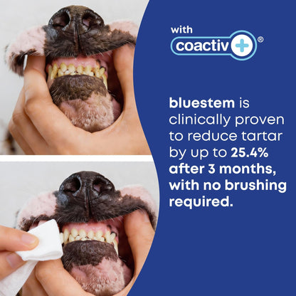 bluestem Cat and Dog Toothpaste – Scientifically Formulated Coactiv+ Pet Toothpaste Helps Reduce Plaque & Tartar, Freshens Breath, and Promotes Daily Dog and Cat Oral Care – Chicken Flavor (70g)