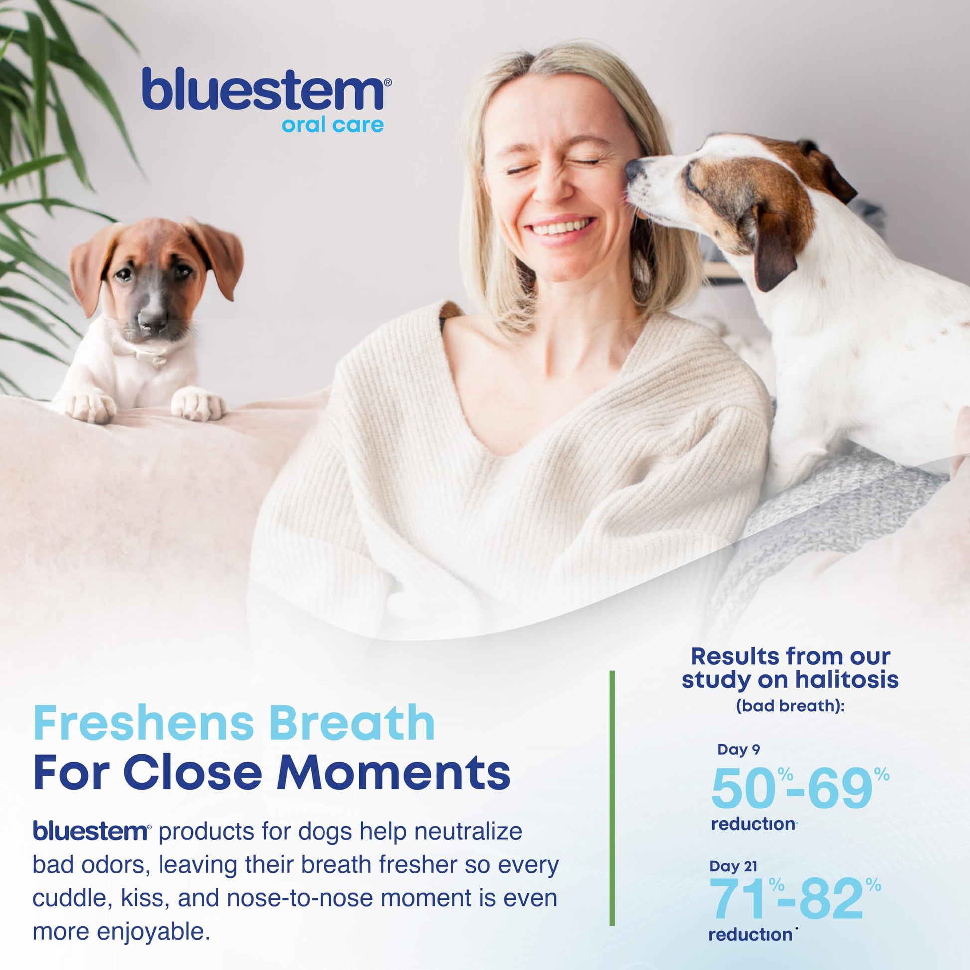 bluestem Dental Care Water Additive for Dogs – No Brushing Daily Teeth Cleaner – Pet Oral Rinse to Freshen Breath & Help Reduce Plaque – Flavorful & Easy Oral Hygiene (500 ml, Vanilla Mint)