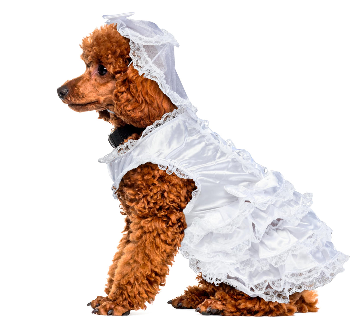 Rubies Costume Co Halloween Classics Collection Pet Costume, Small, Bride