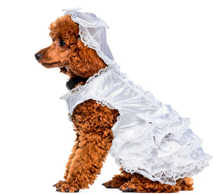 Rubies Costume Co Halloween Classics Collection Pet Costume, Small, Bride