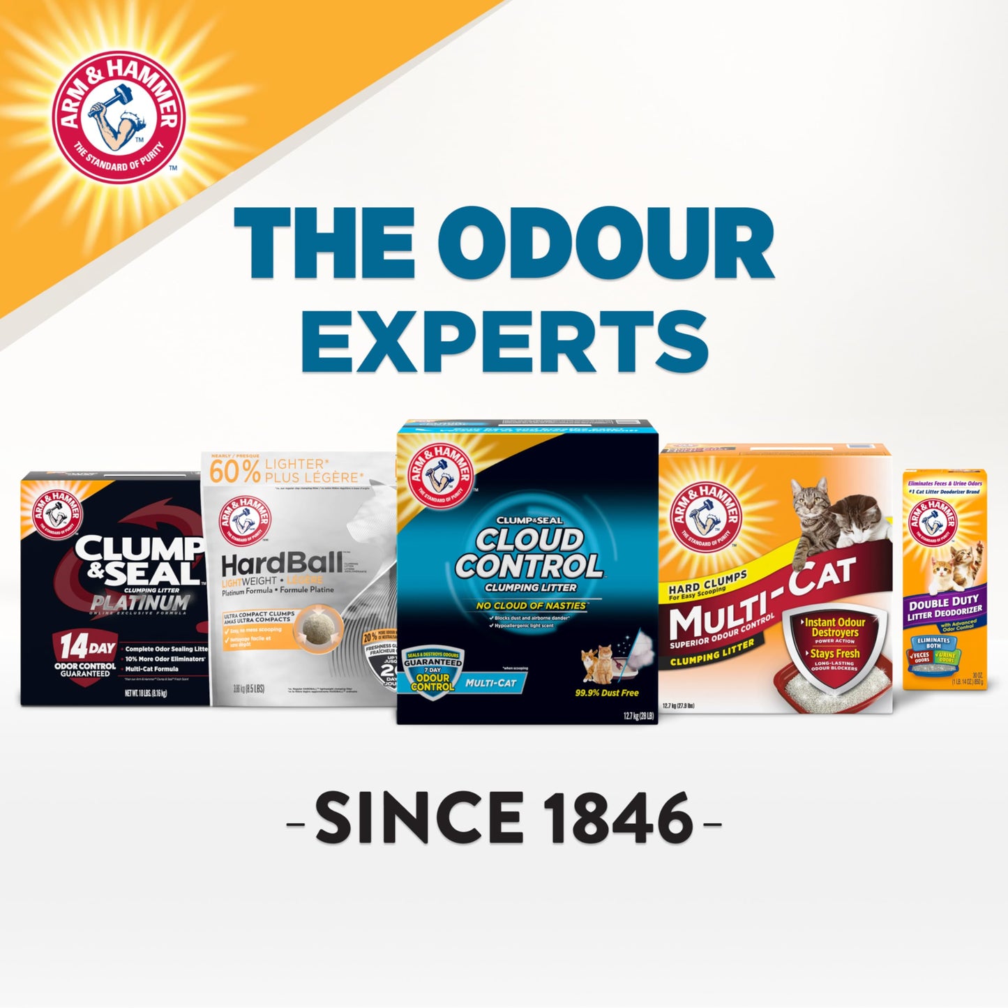 Arm & Hammer Clump & Seal Cloud Control Clay Cat Litter, Multi-Cat, 12.7kg, 7 Days of Odour Control, Dust Free, Clumping Litter (Pack of 1)