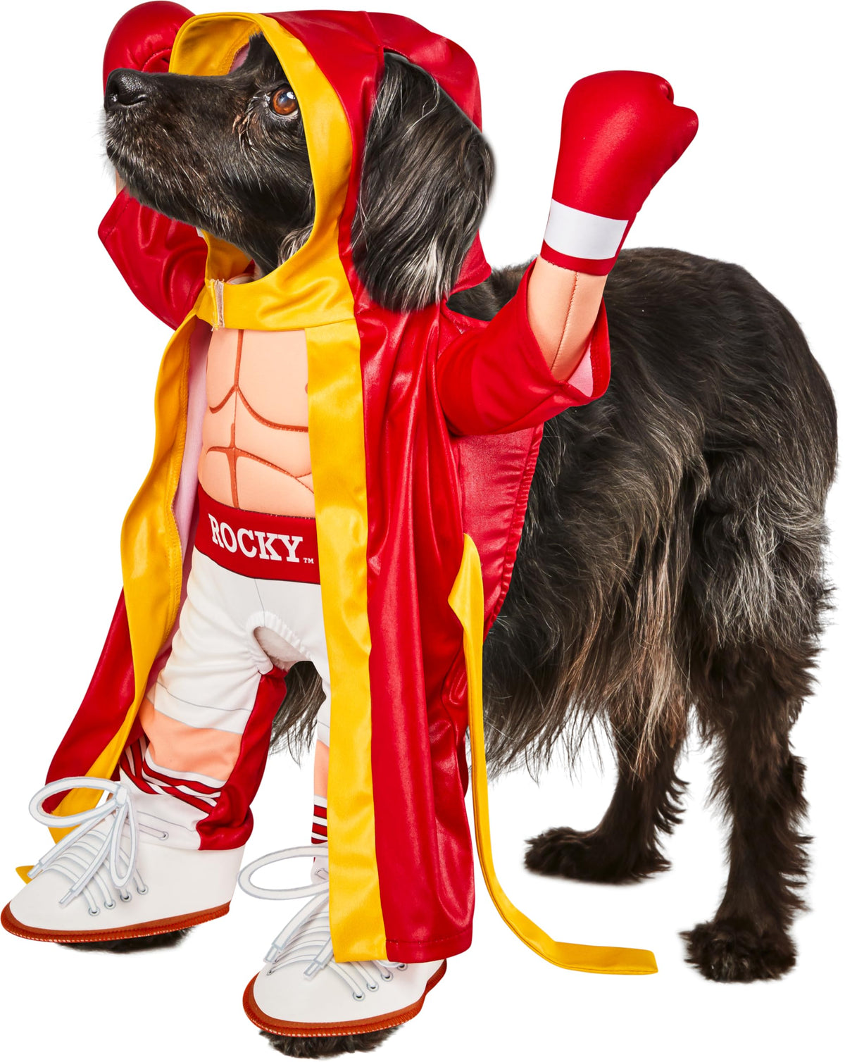 Rubies Rocky Pet Costume for Themed Parties and Halloween, Officially Licensed, As Shown, As Shown, X-Large