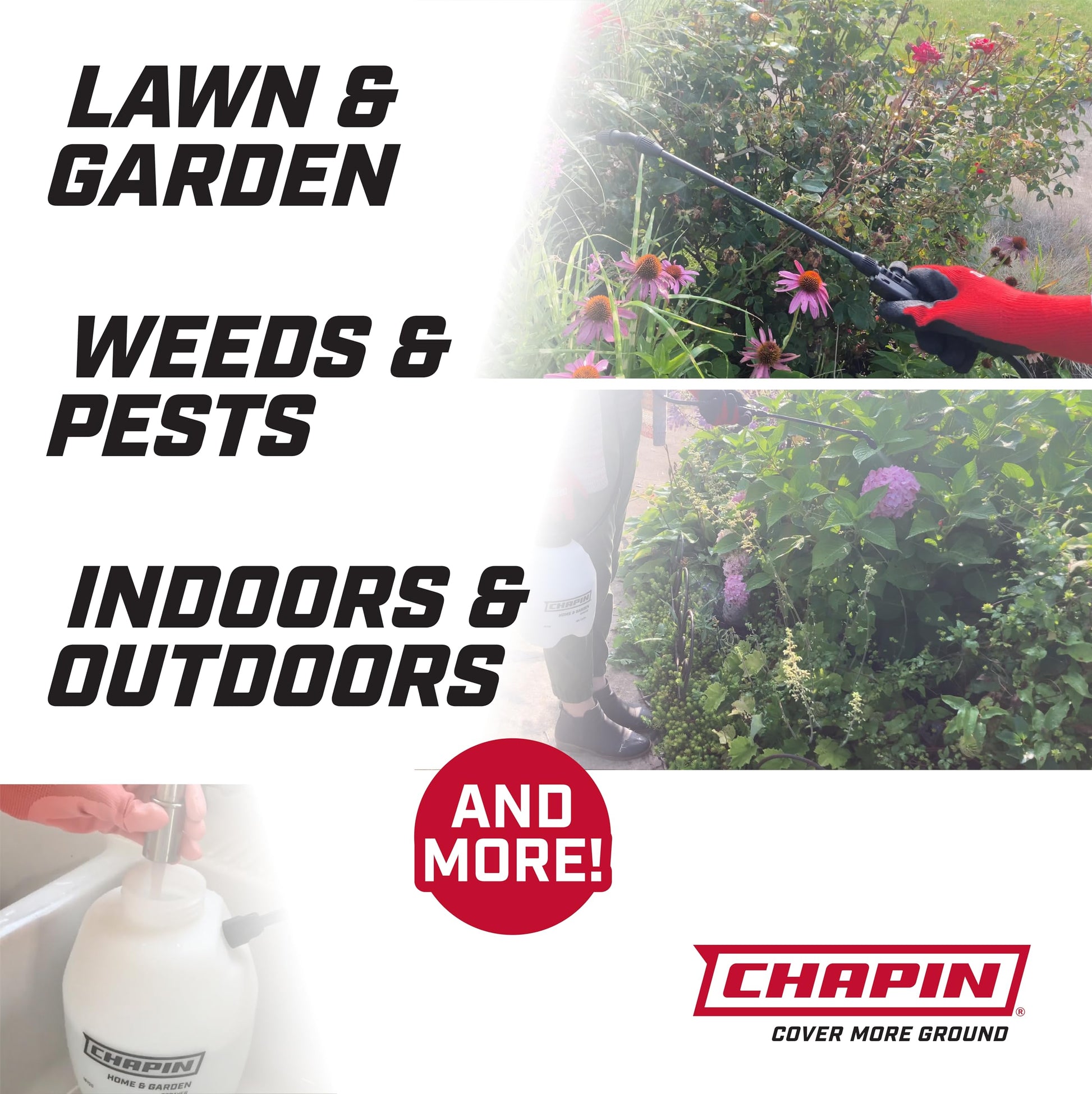 Chapin 16200 Home and Garden Poly Sprayer, 2-Gallon Chapin International