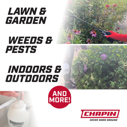 Chapin 16200 Home and Garden Poly Sprayer, 2-Gallon Chapin International