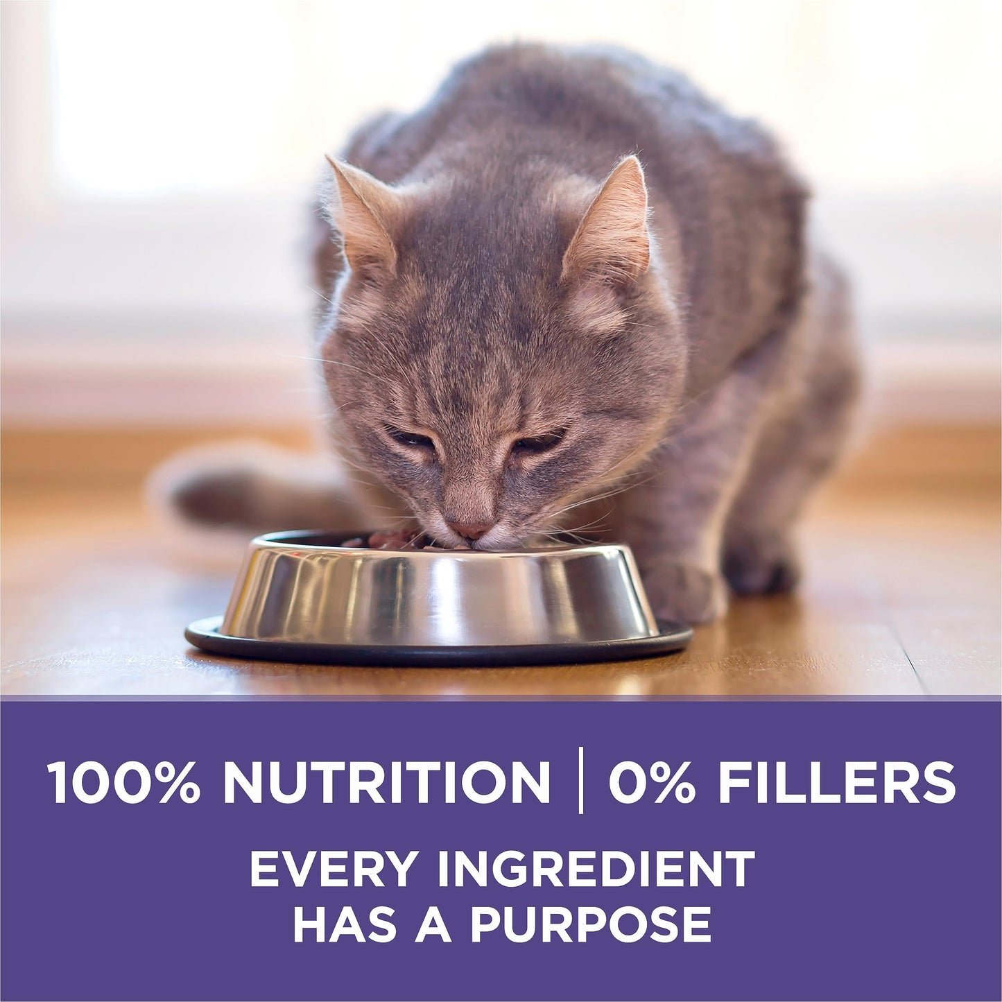 Purina ONE +Plus Dry Cat Food, Hairball Formula Chicken - 3 kg Bag