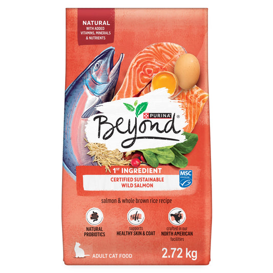 Beyond Simply Natural Dry Cat Food, Salmon & Whole Brown Rice - 2.72 kg Bag - Available at All In One Marketplace Canada
