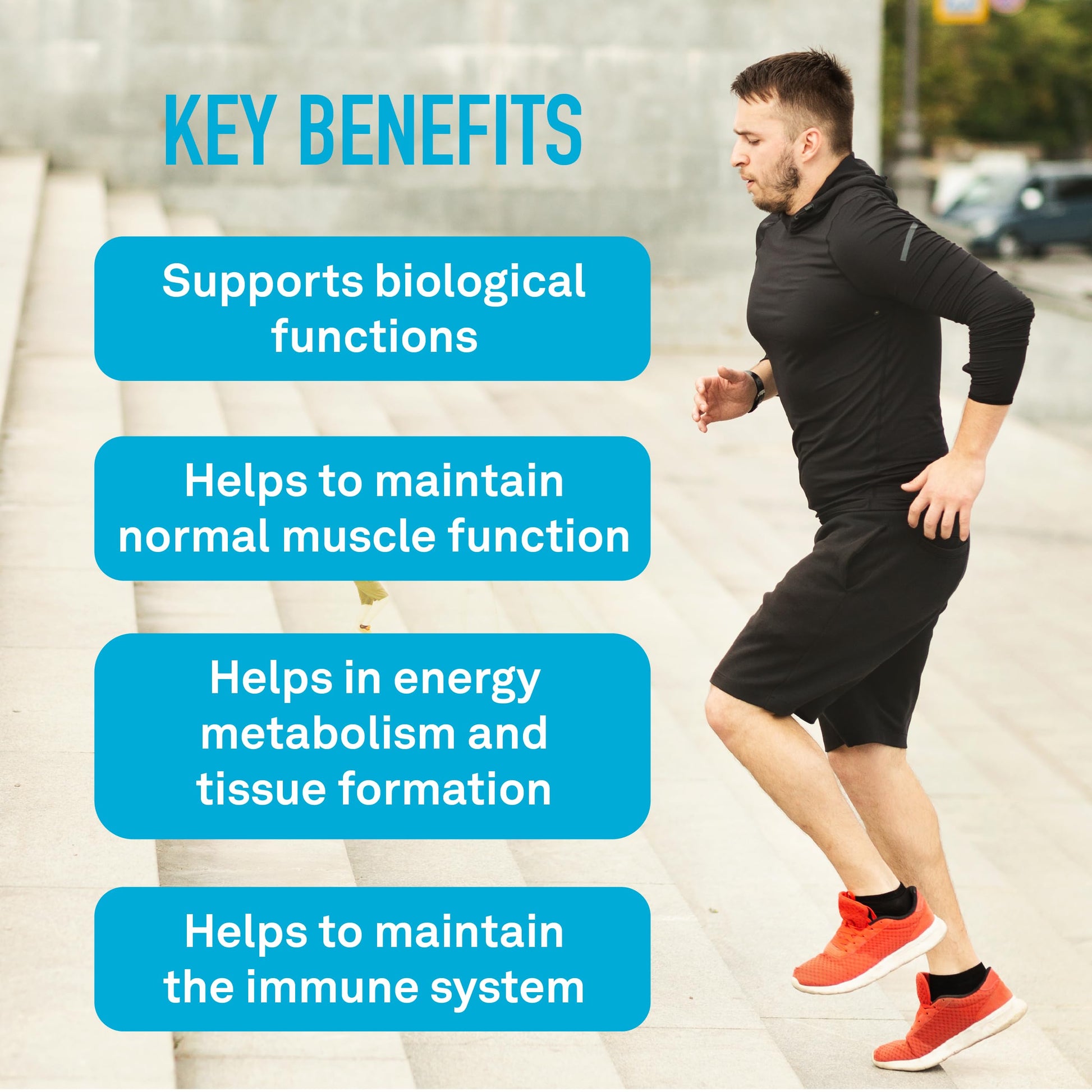 Electrolytes Boost | 4 Electrolytes + B6 & Zinc | 200 Vegetarian Capsules Organika