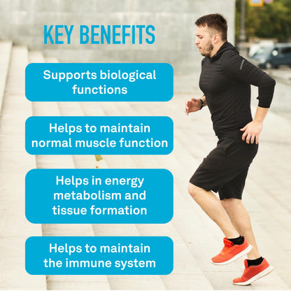 Electrolytes Boost | 4 Electrolytes + B6 & Zinc | 200 Vegetarian Capsules Organika