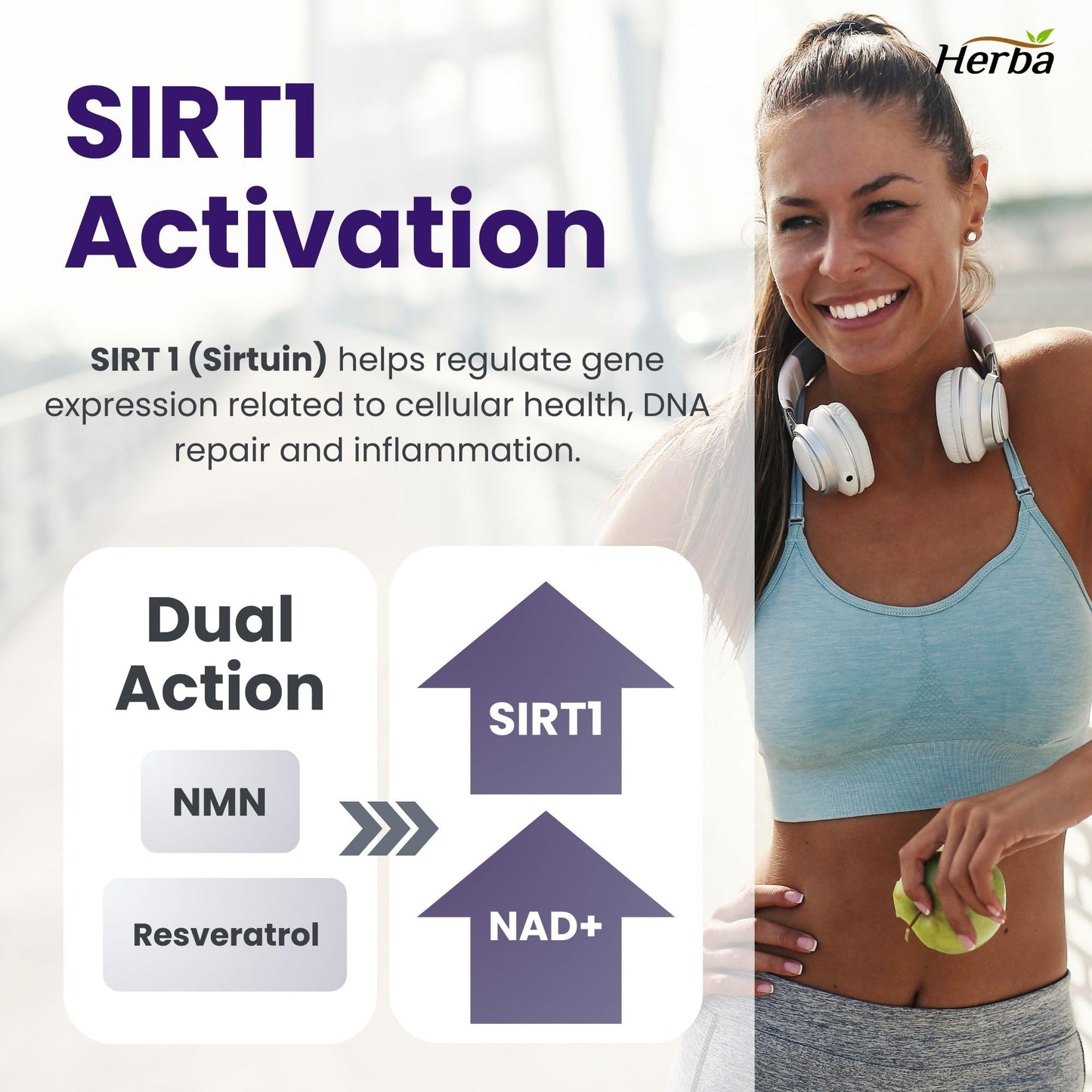 Herba NMN Supplement with Resveratrol – 500mg + 100mg | 100% Purity β-NMN & >99% Resveratrol | NAD Supplement Canada Made | NAD+ Precursor | 30 Capsules - Available at All In One Marketplace Canada