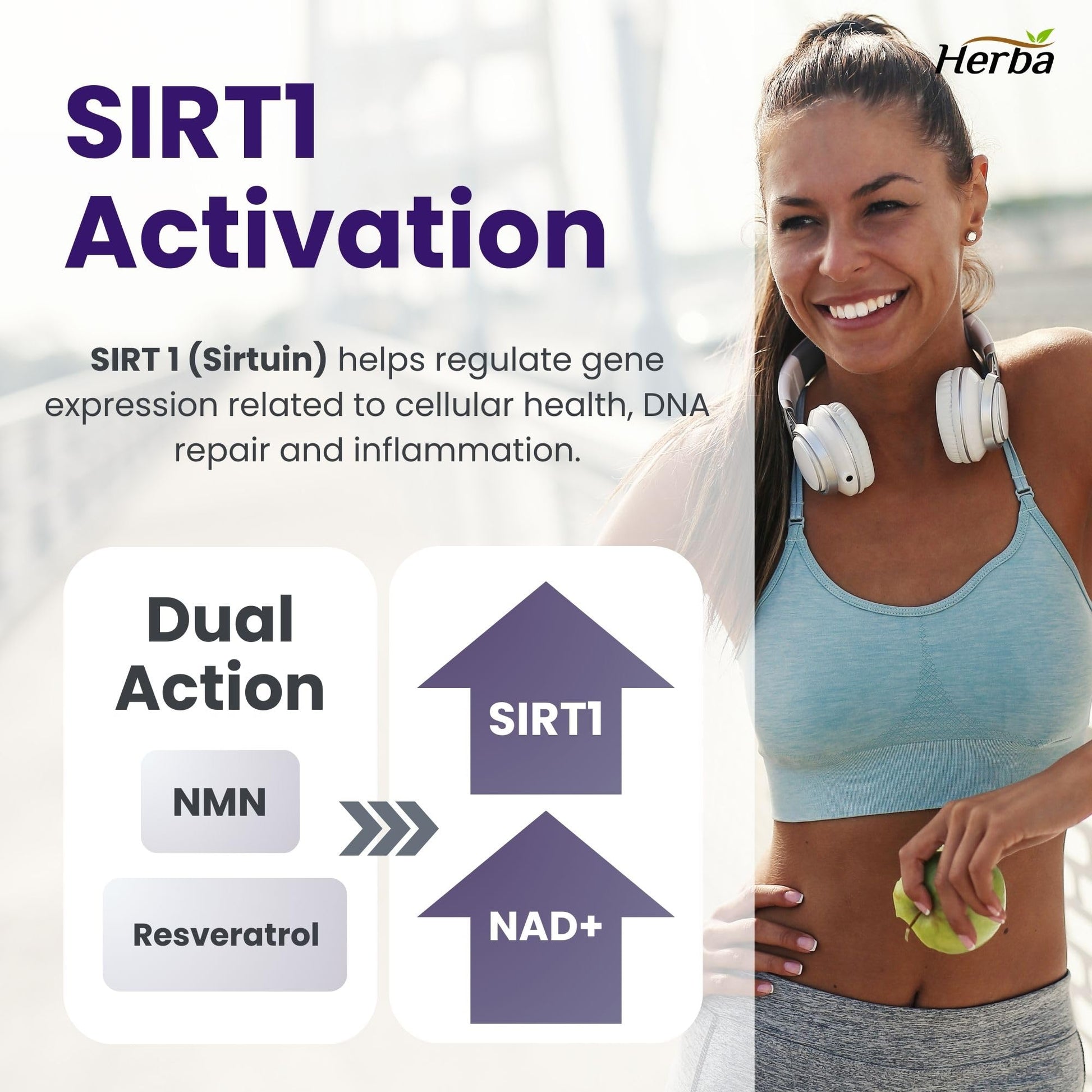 Herba NMN Supplement with Resveratrol – 500mg + 100mg | 100% Purity β-NMN & >99% Resveratrol | NAD Supplement Canada Made | NAD+ Precursor | 30 Capsules - Available at All In One Marketplace Canada