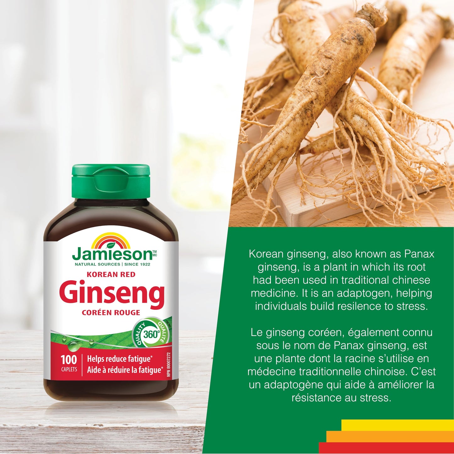 Jamieson Korean Red Ginseng, Panax Ginseng, 100 Caplets, Stress Support, Reduces Fatigue, Boosts Cognitive Health, Helps Enhance Physical Performance. Non-GMO, Proudly Canadian - Available at All In One Marketplace Canada