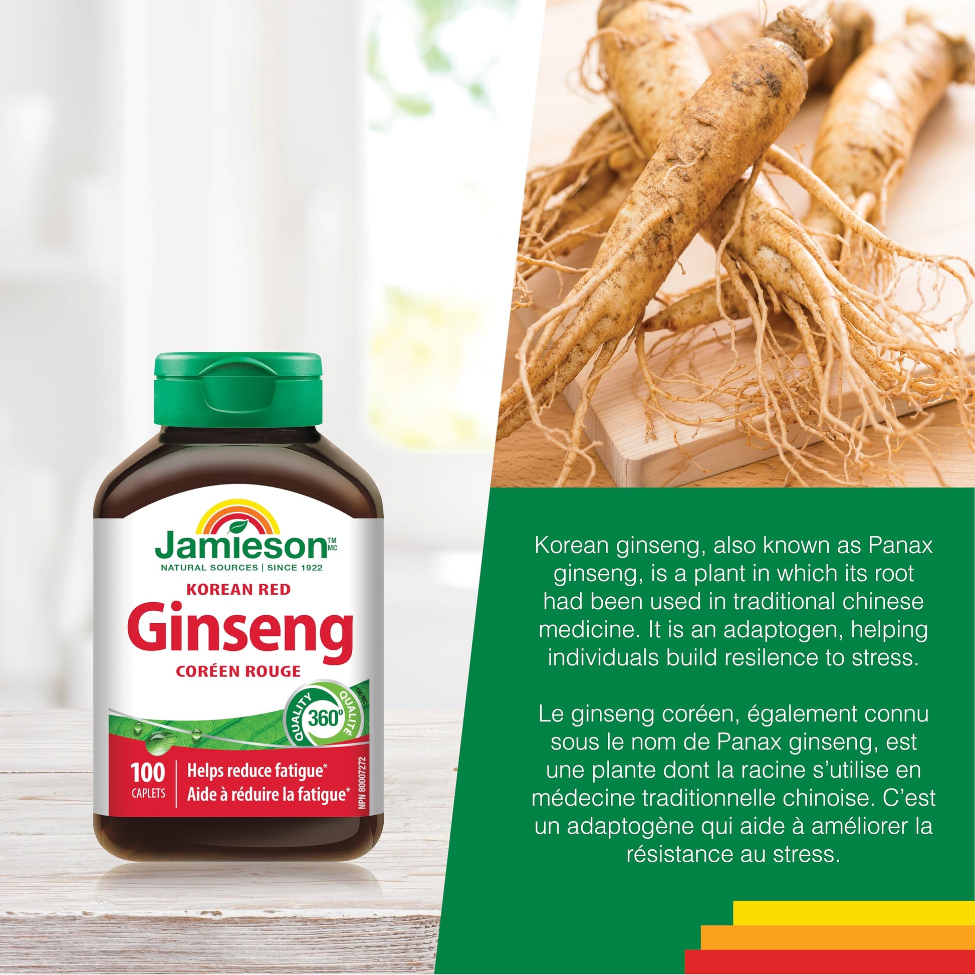 Jamieson Korean Red Ginseng, Panax Ginseng, 100 Caplets, Stress Support, Reduces Fatigue, Boosts Cognitive Health, Helps Enhance Physical Performance. Non-GMO, Proudly Canadian - Available at All In One Marketplace Canada