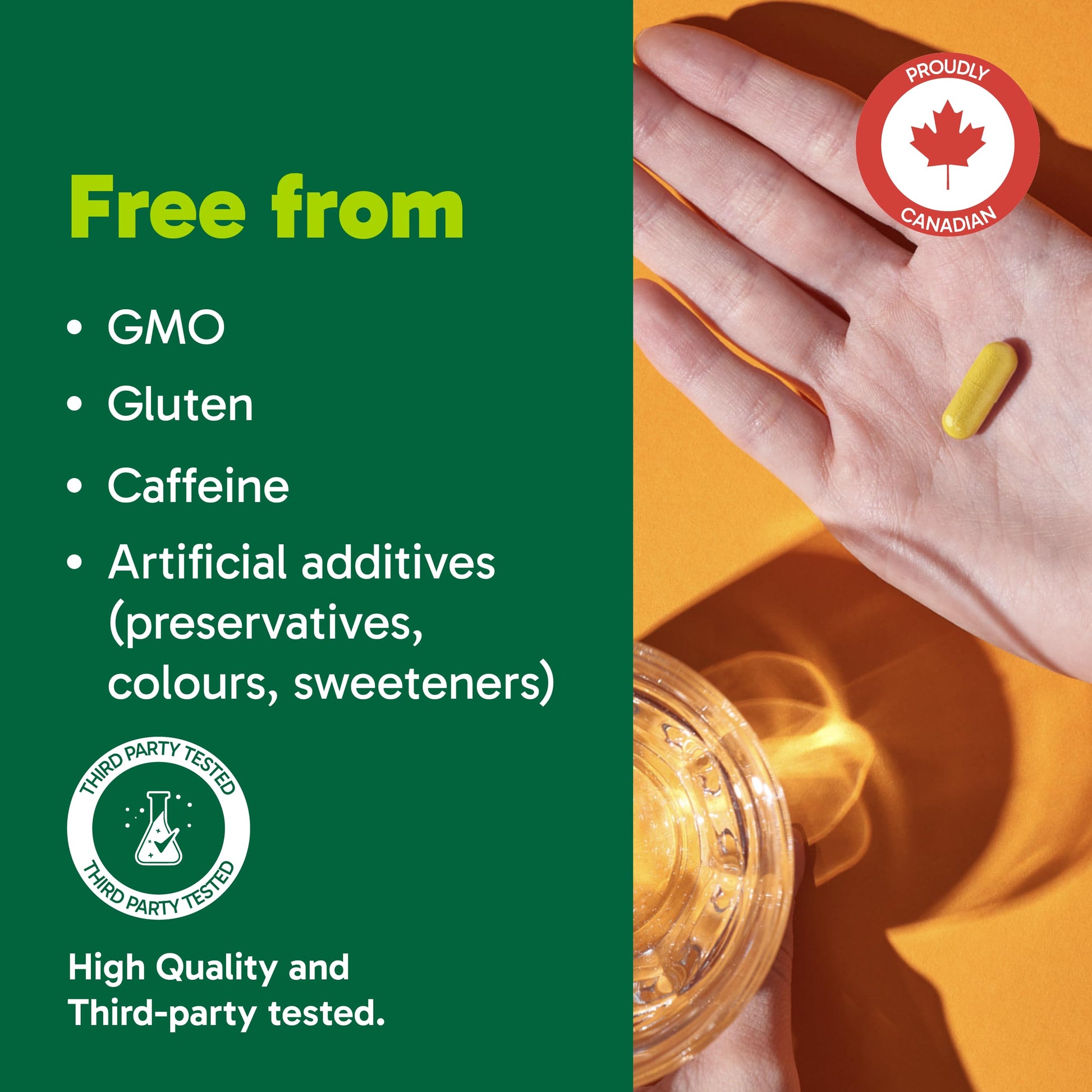 Organika Canadian-Made Bloat Relief- Helps Relieve Bloating and Flatulence- Herbal Blend of Sweet Fennel, Turmeric, and Milk Thistle- Digestive Support- 120vcaps Organika