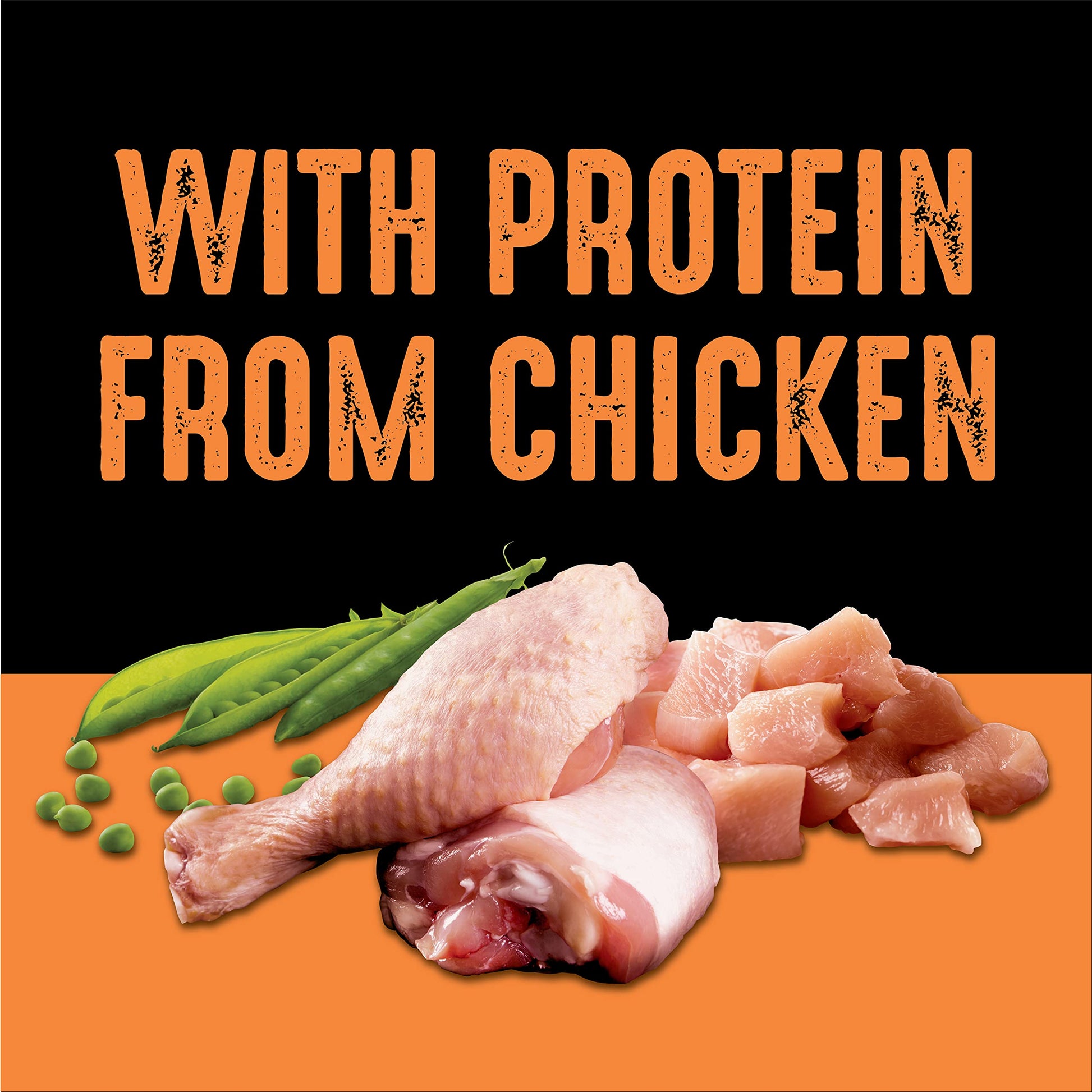 Crave Adult Dry Dog Food, Chicken Flavour, 9.98kg CRAVE