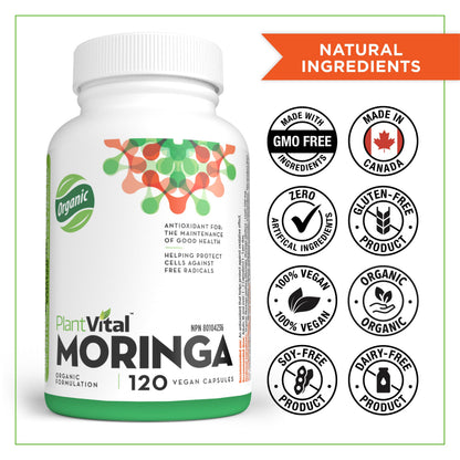 PlantVital Organic Moringa Leaf Capsules - Made in Canada - 1000mg High Potency (500mg per cap) Moringa Pure Capsules for Antioxidant, and Eye Health - Vegan, Non-GMO, Gluten Free (120 Count, 60 Days) - Available at All In One Marketplace Canada