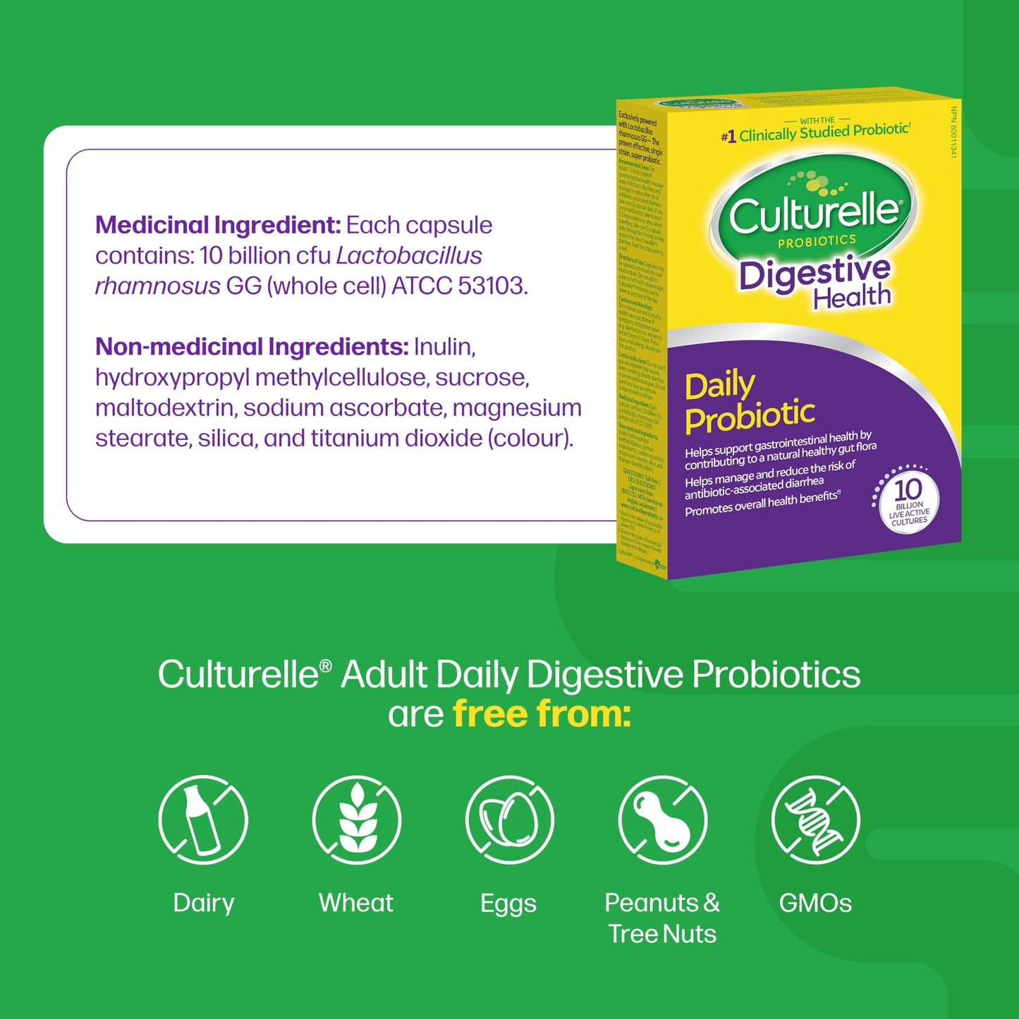 Culturelle Daily Digestive Health Daily Probiotic for Men and Women | With 100% Naturally Sourced Lactobacillus GG Strain †††††† | Pharmacist Recommended ††††† | Gluten Free and Vegan | 30 Count Capsules Culturelle