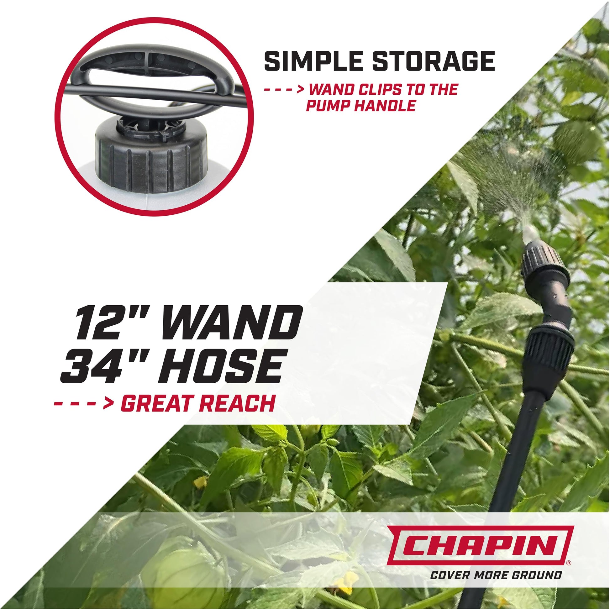Chapin 16200 Home and Garden Poly Sprayer, 2-Gallon Chapin International
