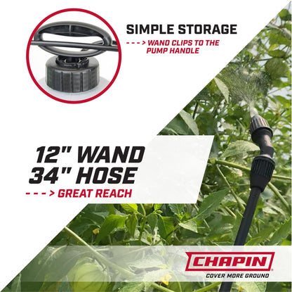 Chapin 16200 Home and Garden Poly Sprayer, 2-Gallon Chapin International