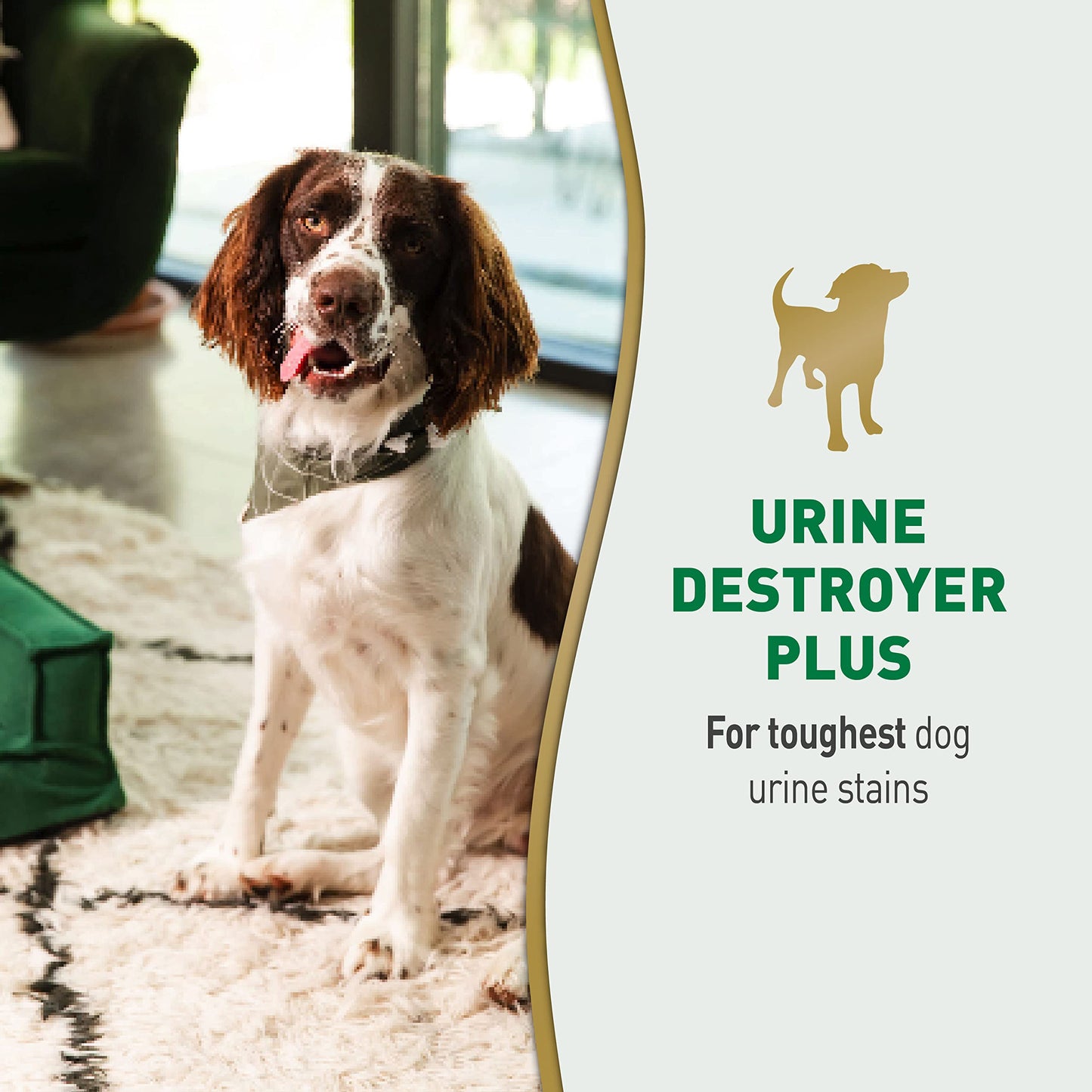 Nature’s Miracle Urine Destroyer Plus Dog, 32 Ounces, Enzymatic Formula, Ready-to-Use 🍁 All In One Marketplace Canada
