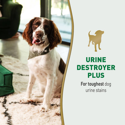 Nature’s Miracle Urine Destroyer Plus Dog, 32 Ounces, Enzymatic Formula, Ready-to-Use 🍁 All In One Marketplace Canada