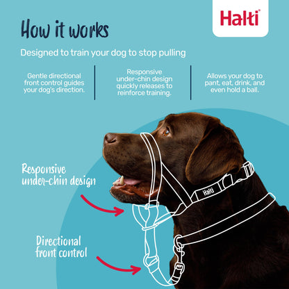 Halti Headcollar - Stop Your Dog Pulling on the Leash. Adjustable, Reflective and Lightweight, with Padded Nose Band. Dog Training Anti-Pull Collar for Medium Dogs (Size 3, Black) 🍁 All In One Marketplace Canada