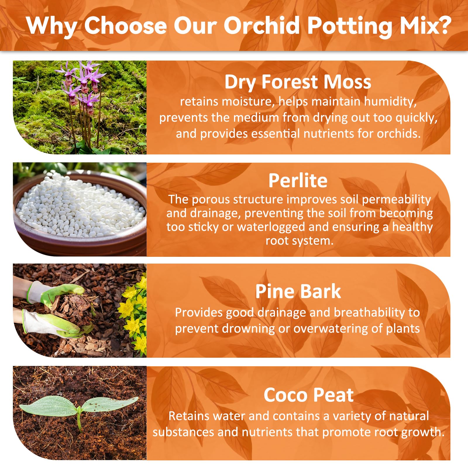 Riare 2L Orchid Potting Mix for Repotting- Orchids Repotting Kit Include Moss, Pine Bark, Perlite, Coco Peat- Premium Orchid Soil Medium for Indoor Potted Plants Root Ventilation & Expanding - Available at All In One Marketplace Canada