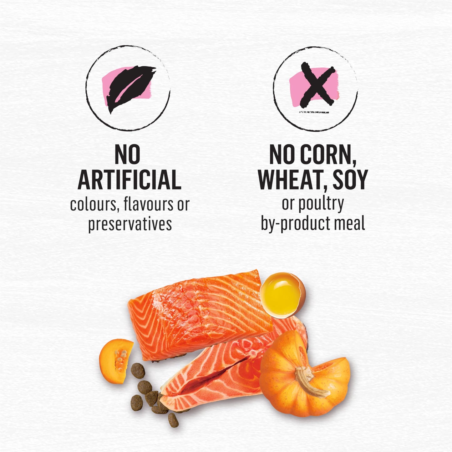 Beyond Superfood Blend Natural Dry Dog Food, Wild Caught Salmon, Egg & Pumpkin - 5 kg Bag 🍁 All In One Marketplace Canada