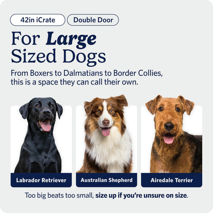 MidWest Homes for Pets 42-Inch iCrate for Large Breeds, 71-90 lbs, Double Door Folding Dog Crate with Divider Panel, Leak-Proof Tray & Secure Latches, Portable, Durable & Easy to Assemble 🍁 All In One Marketplace Canada
