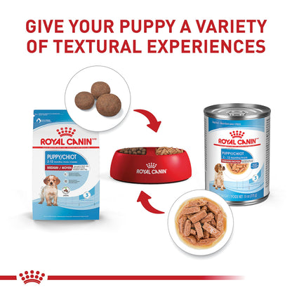 Royal Canin Size Health Nutrition Medium Puppy Dry Dog Food, 4 lb ROYAL CANIN