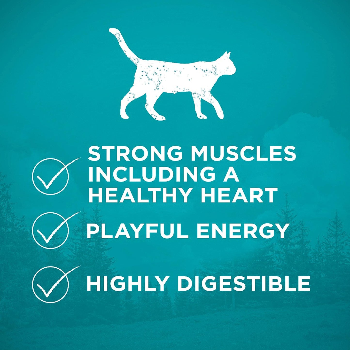 Purina ONE True Instinct Grain Free Dry Cat Food, High Protein Chicken - 6.53 kg Bag