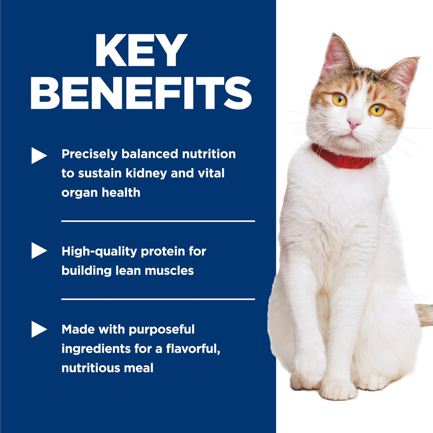 Hill's Science Diet Senior 7+ Healthy Cuisine Canned Cat Food, Roasted Chicken & Rice Medley, 2.8 oz, 24 Pack Wet cat Food Hill's Science Diet