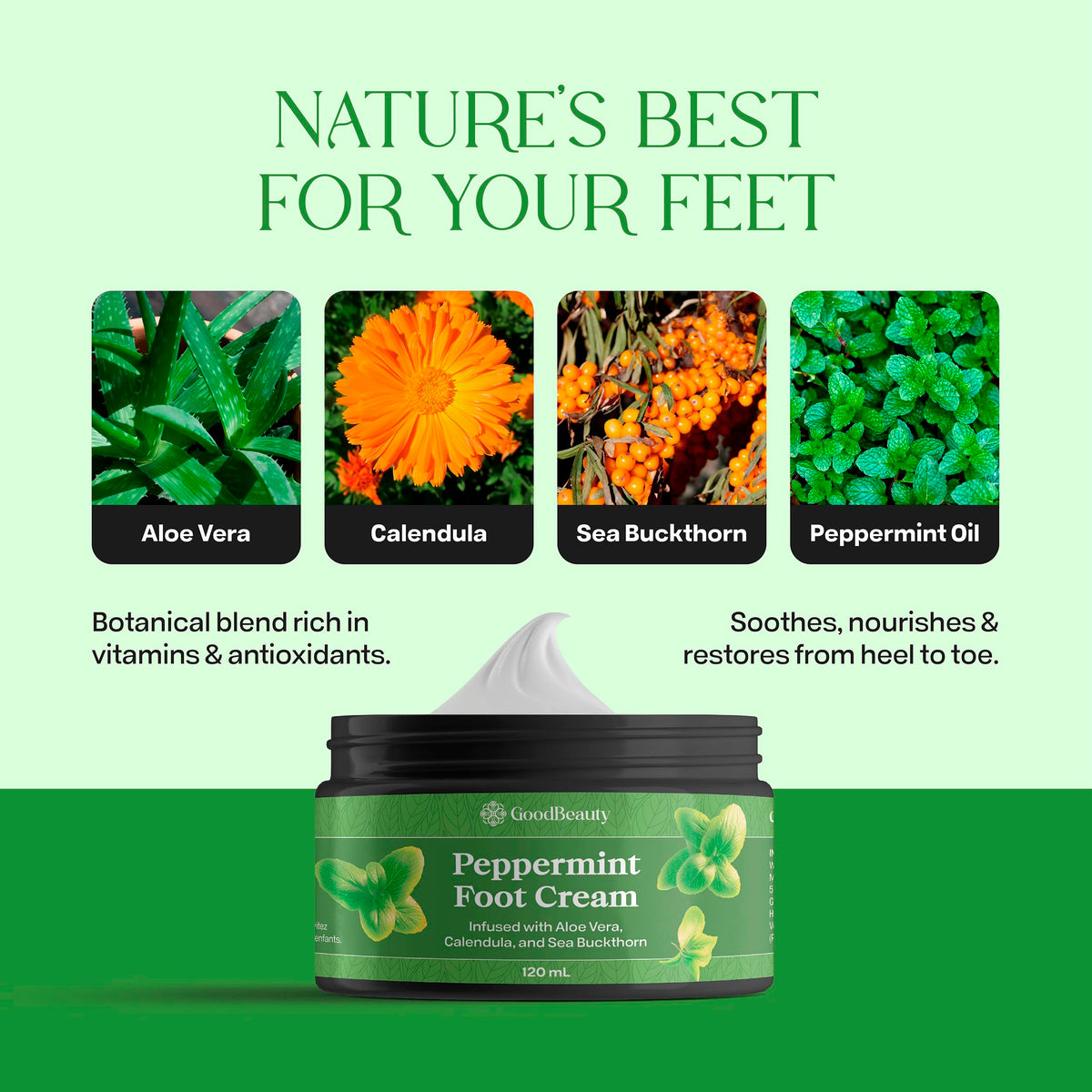 GoodBeauty Peppermint Foot Cream – Moisturizing Lotion with Aloe, Peppermint Oil, Shea Butter & Herbal Extracts – Helping Soothes, Cools & Repairs Dry, Cracked Feet 🍁 All In One Marketplace Canada