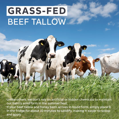 Beef Tallow and Honey Balm for Skin: Whipped Grass Fed Beef Tallow Balm Moisturizer with Raw Honey and Olive Oil for Face and Body - Natural Cow Fat Cream Unscented - Available at All In One Marketplace Canada
