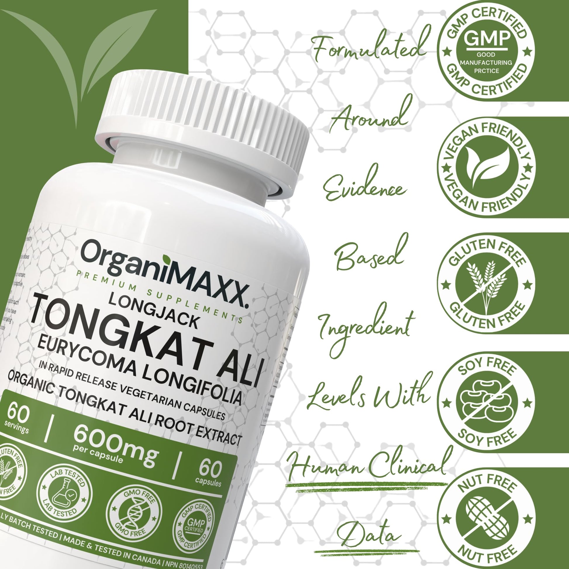 6X Strength Tongkat Ali 600 MG PER SINGLE CAPSULE 60,000 MG Equivalent 100:1 Extract Ratio Highest Potency, OrganiMAXX Longjack Eurycoma Longifolia Non-GMO Premium Tongkat Ali Supplement For Men. - Available at All In One Marketplace Canada