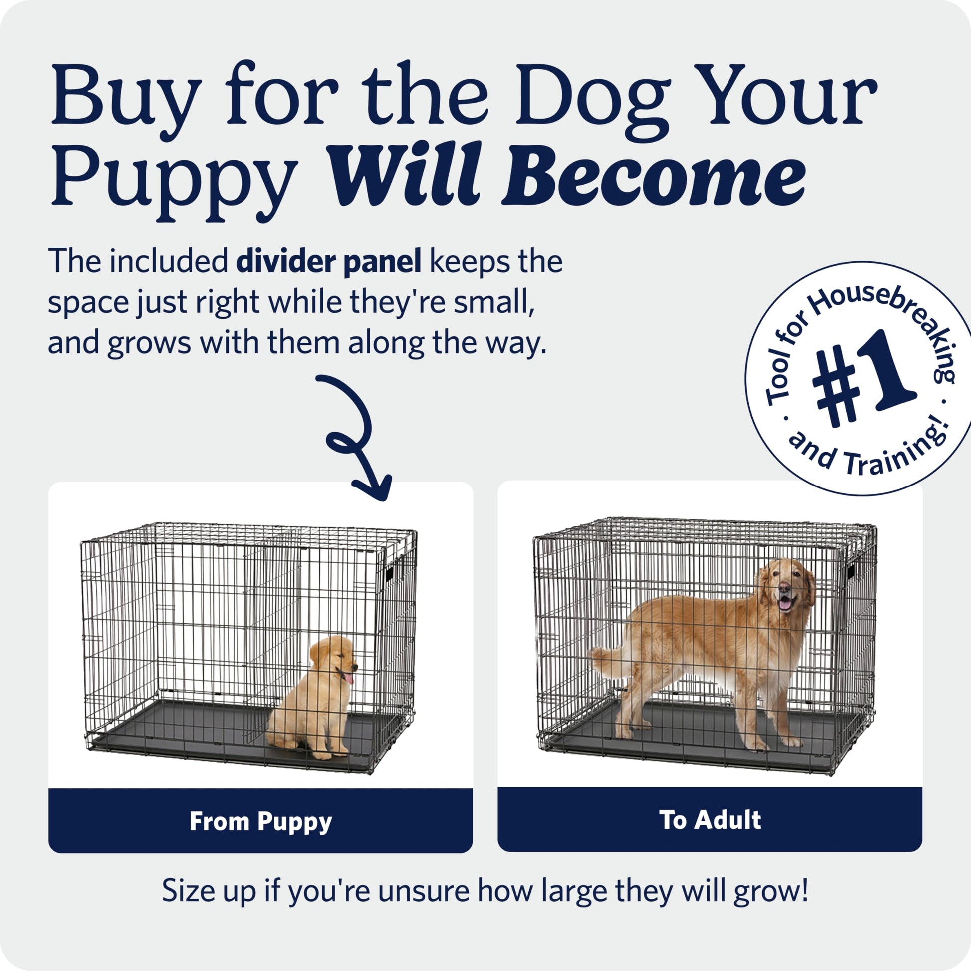 MidWest Homes for Pets 24-Inch iCrate for Small Breeds, 12-20 lbs, Single Door Folding Dog Crate with Divider Panel, Leak-Proof Tray & Secure Latch, Portable, Durable & Easy to Assemble MidWest Homes for Pets